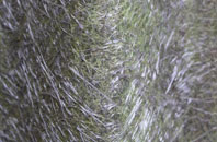 Woodwall Green fibreglass roof work